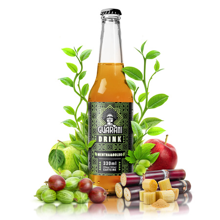 Fruit Drink Guarani – Ovocný nápoj s Yerbou Maté – Mentha & Boldo 330 ml