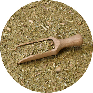 Yerba Mate sada 50g Kalabása + Bombilla