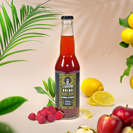 Fruit Drink Guarani – Ovocný nápoj s Yerbou Maté – Sabor Citrus 330 ml