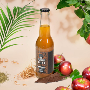 Fruit Drink Guarani – Ovocný nápoj s Yerbou Maté – Katuava 330 ml