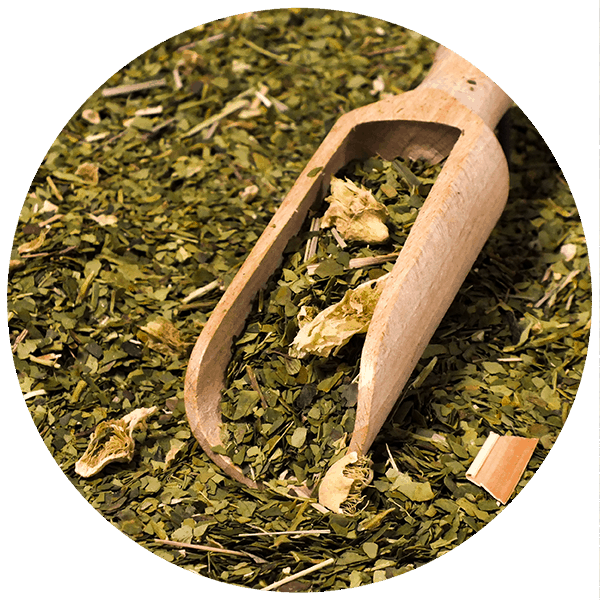 Yerba Mate Set Verde Mate Cactus de Juarez 500g